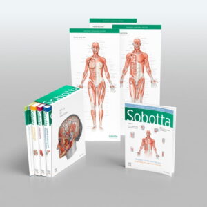 Sobotta atlas anatomy - 3 delig